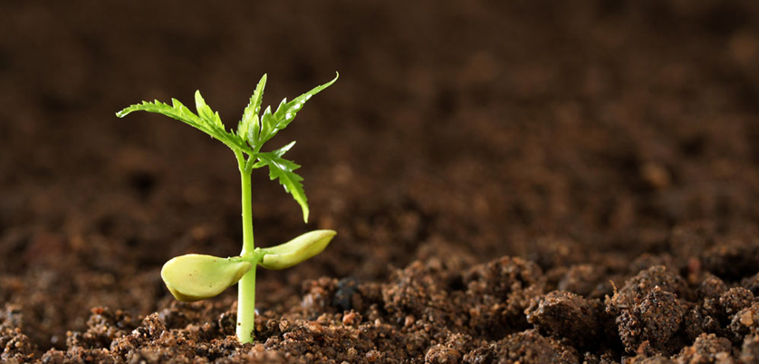 G8全自動石墨消解儀對土壤中汞、砷測定的消解案例